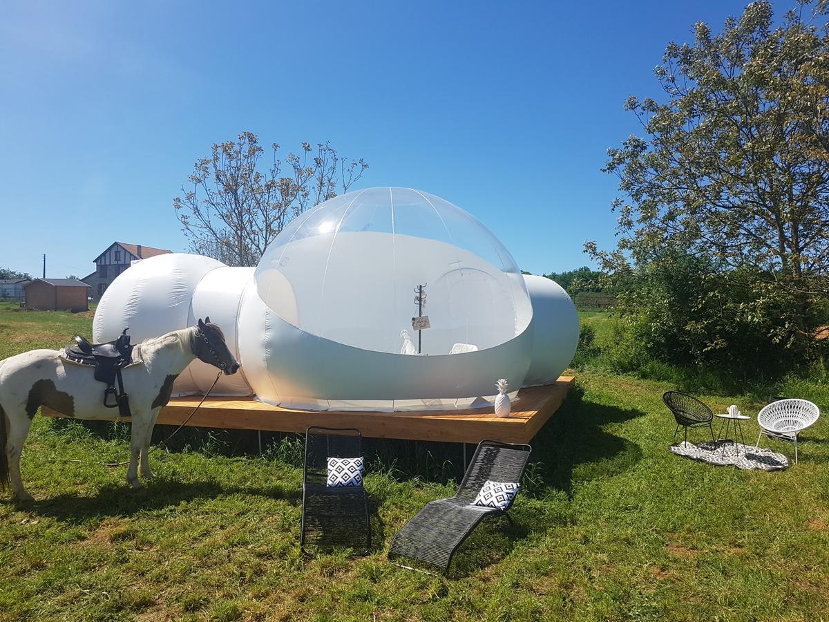 Coachella Guest House Lanouaille Eksteriør bilde