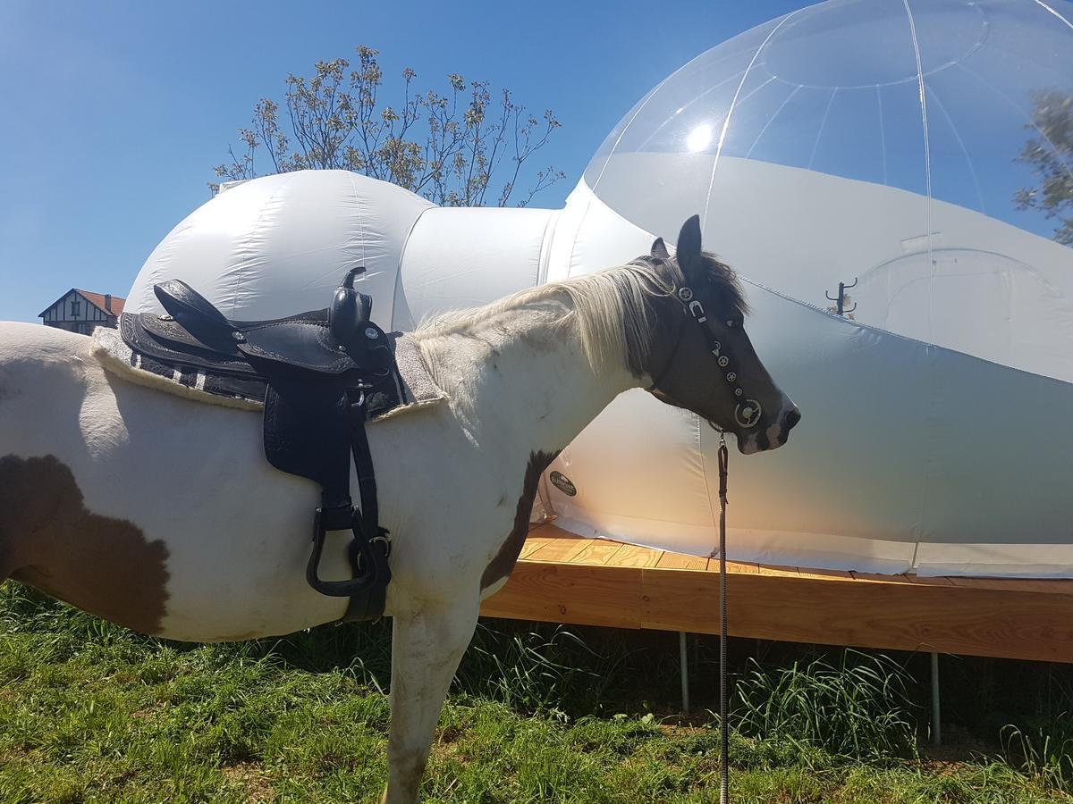 Coachella Guest House Lanouaille Eksteriør bilde
